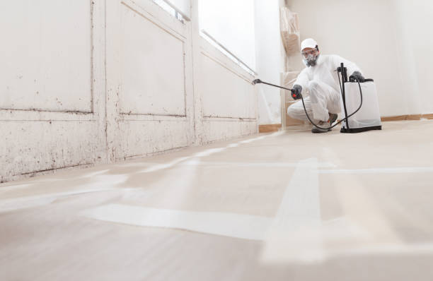 24/7 Emergency Mold Inspection experts in Clinton, MI