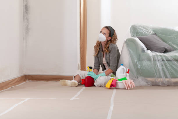 Reliable Mold Inspection contractor in Clinton, MI by WQB Mold Removal